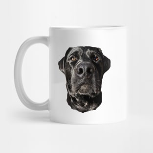 Labrador Retriever Black Dog Mug